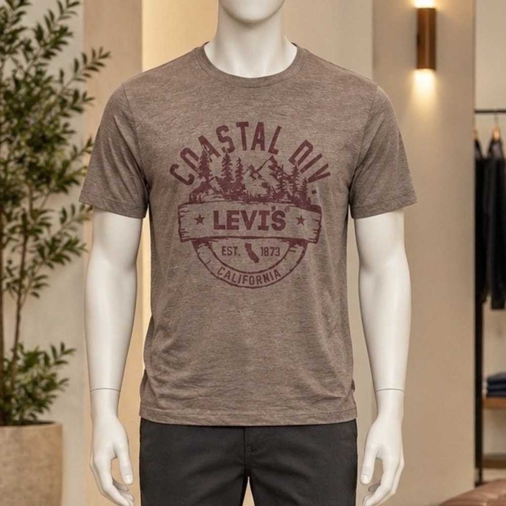 Levi's Mens Graphic T-Shirt Coastal Div California Heather Brown Small